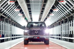 上市即爆款，長城炮十月銷量突破5020臺領跑市場